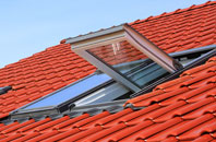 Pelutho roof window